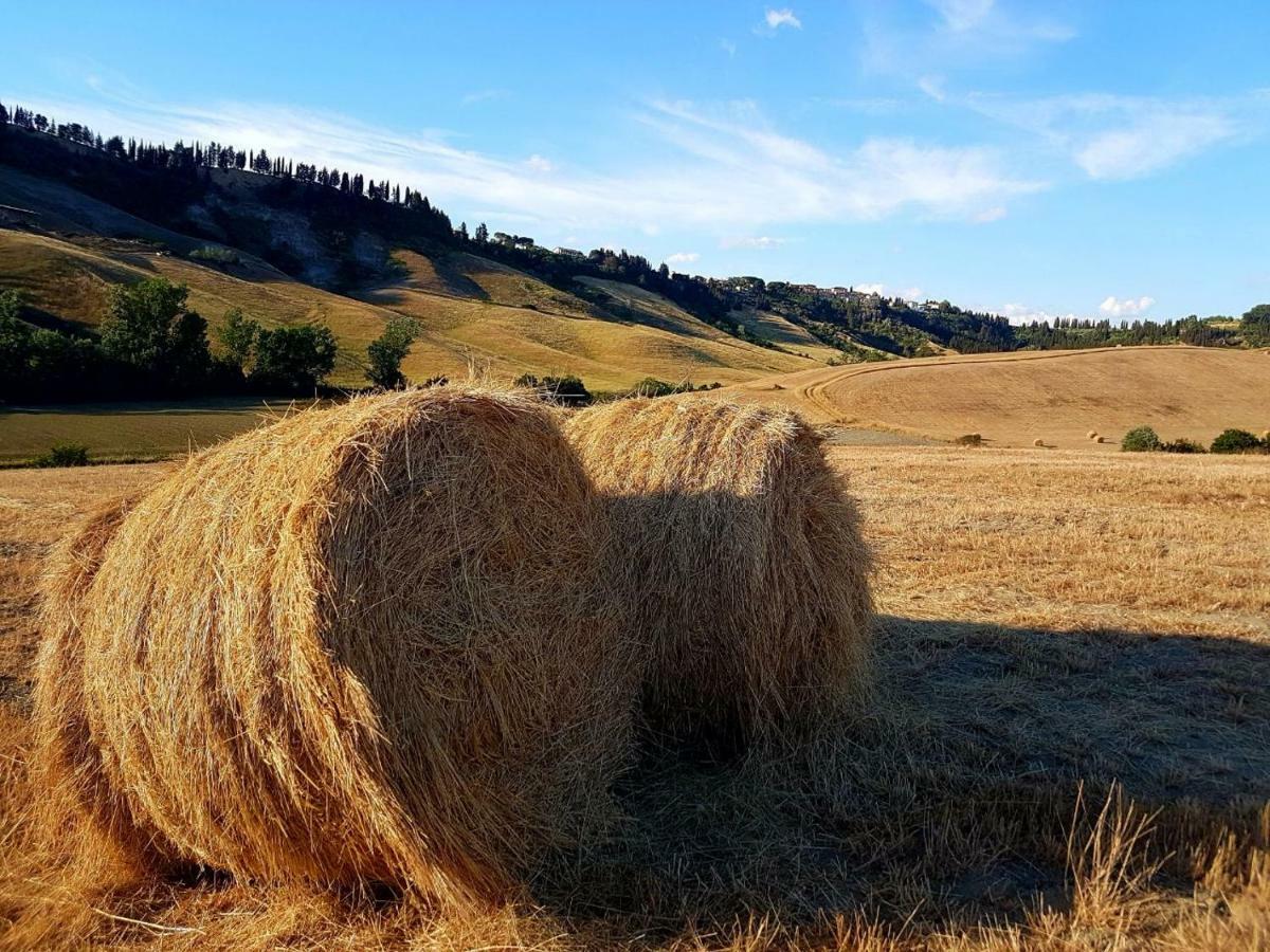 Agriturismo Podere Molino Peccioli Екстериор снимка