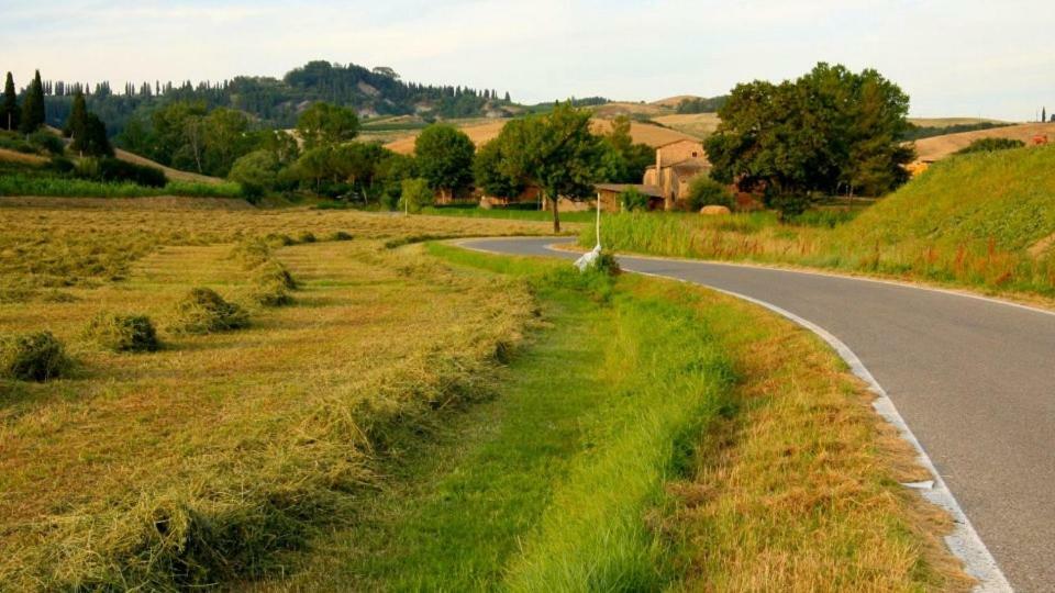 Agriturismo Podere Molino Peccioli Екстериор снимка