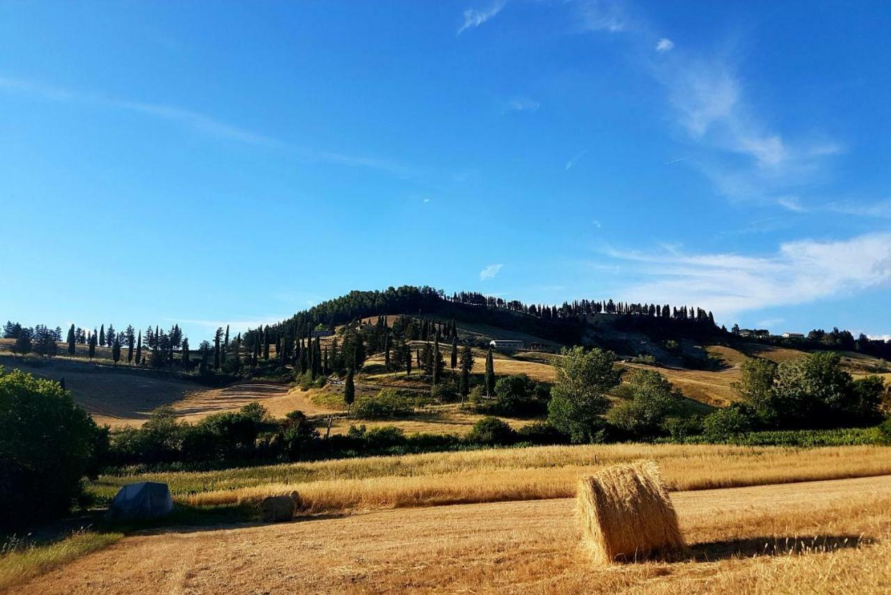 Agriturismo Podere Molino Peccioli Екстериор снимка