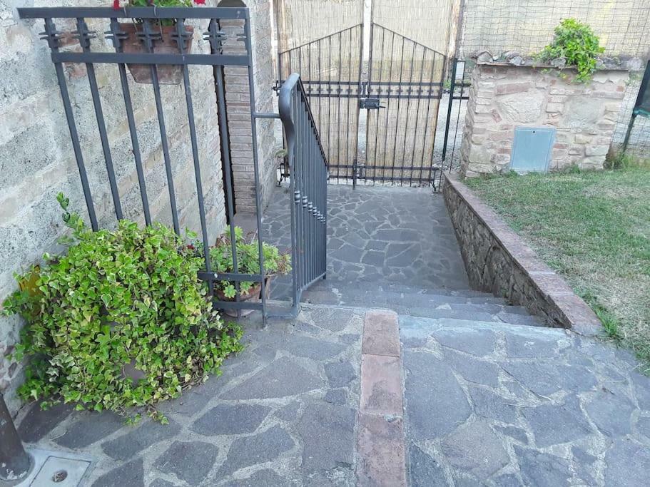 Agriturismo Podere Molino Peccioli Екстериор снимка