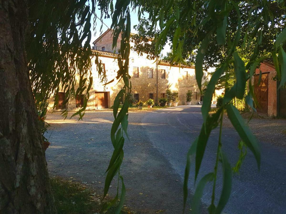 Agriturismo Podere Molino Peccioli Екстериор снимка