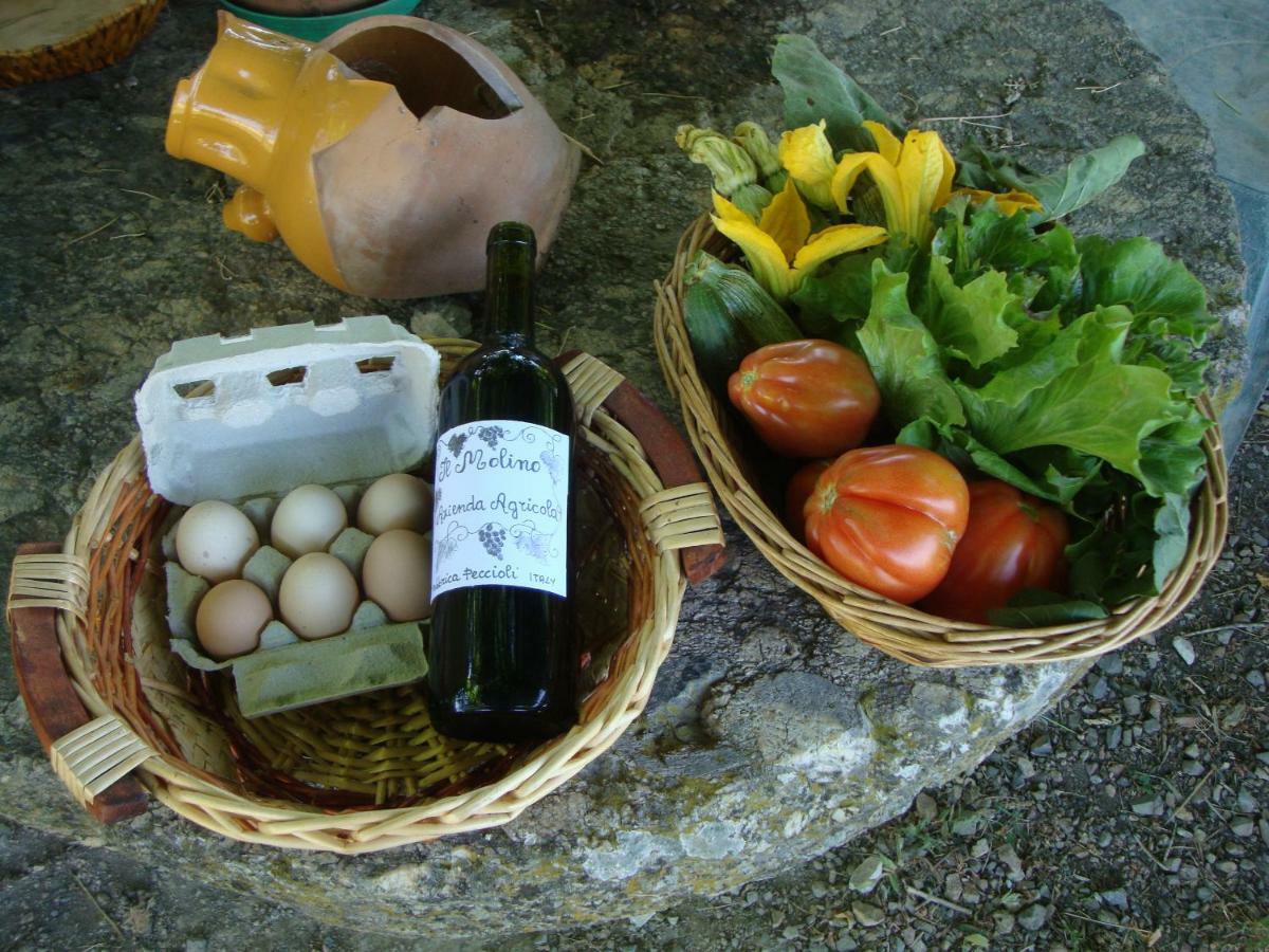 Agriturismo Podere Molino Peccioli Екстериор снимка