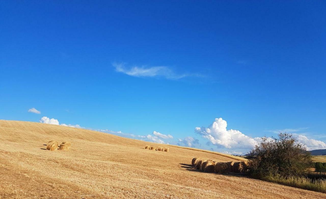 Agriturismo Podere Molino Peccioli Екстериор снимка