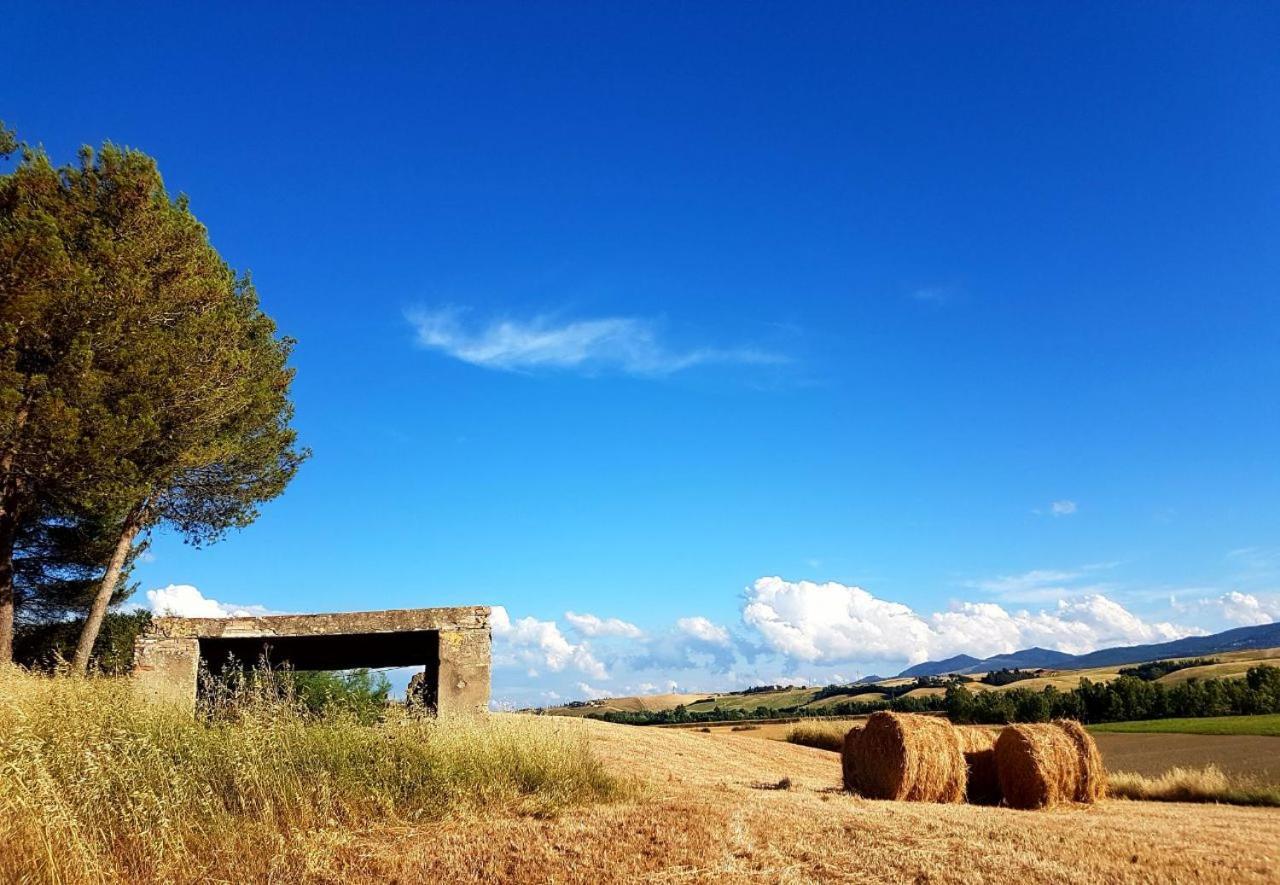 Agriturismo Podere Molino Peccioli Екстериор снимка