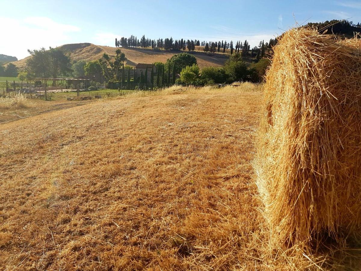 Agriturismo Podere Molino Peccioli Екстериор снимка