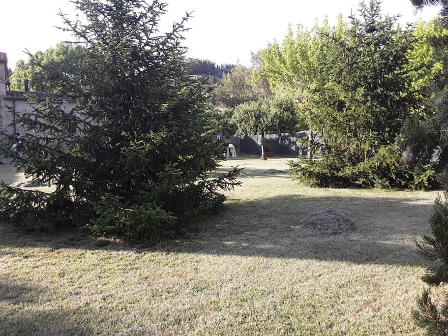 Agriturismo Podere Molino Peccioli Екстериор снимка